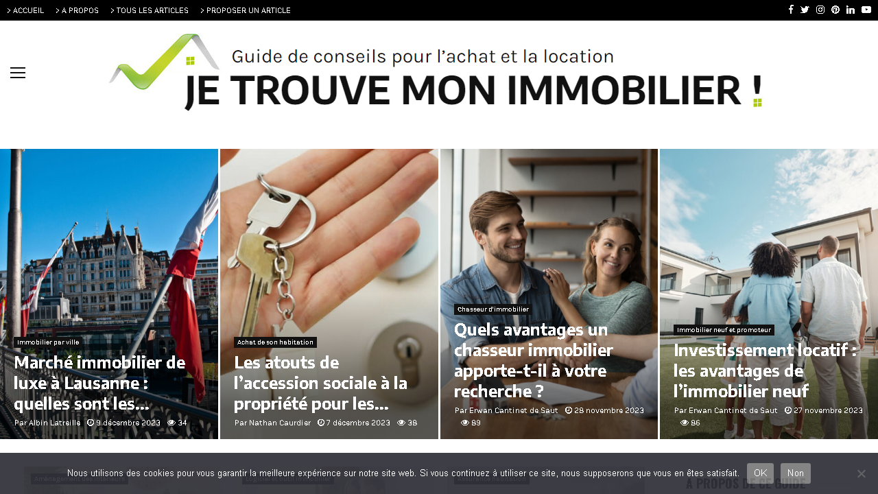 Capture d'écran de http://www.immobilier-nancay.fr/